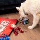 Хранилка за кучета Marvel 760 ml меламин Червен Метал Хранилка за кучета Marvel 760 ml меламин Червен Метал