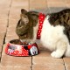 Хранилка за кучета Minnie Mouse 760 ml меламин Метал Многоцветен