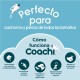 Пътническа Чанта Coachi Train & Treat Син Корал