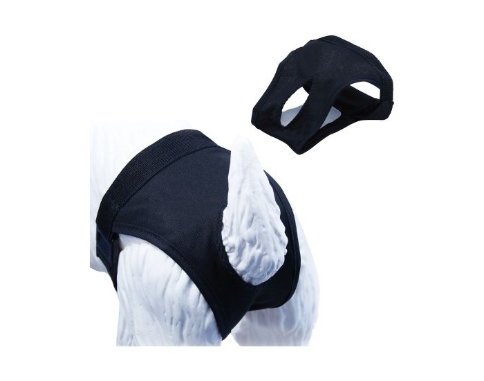 Бикини Gloria Slip Куче полиестер Размер 5 (60-70 cm)