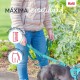 Кучешка Каишка Company of Animals Зелен L
