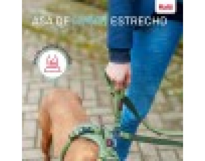 Кучешка Каишка Company of Animals Зелен L