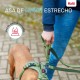 Кучешка Каишка Company of Animals Зелен L