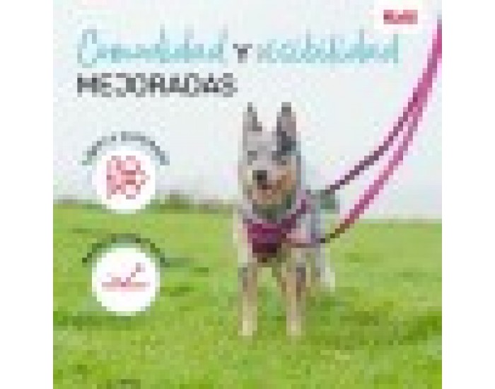 Кучешка Каишка Company of Animals Зелен L