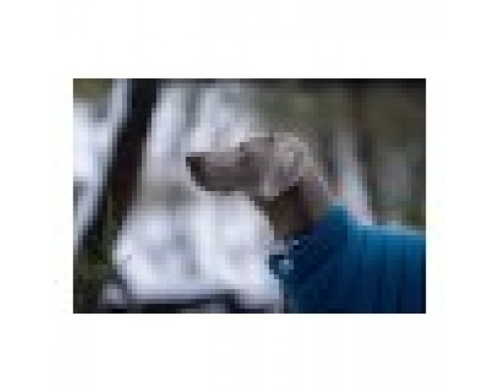 Палто за Куче TicWatch Puffer 30 cm Палто за Куче TicWatch Puffer 30 cm