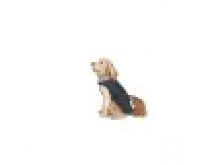 Кучешки Дъждобран Dog Gone Smart Черен 45 cm