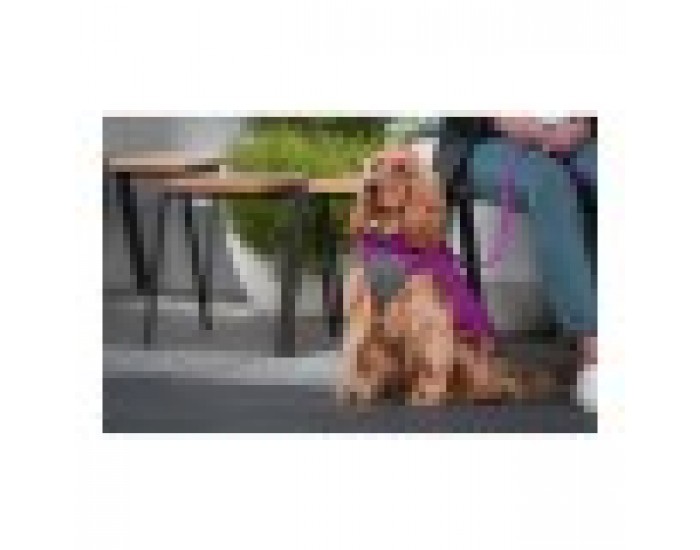 Палто за Куче TicWatch Puffer Розов/Лилав 40 cm