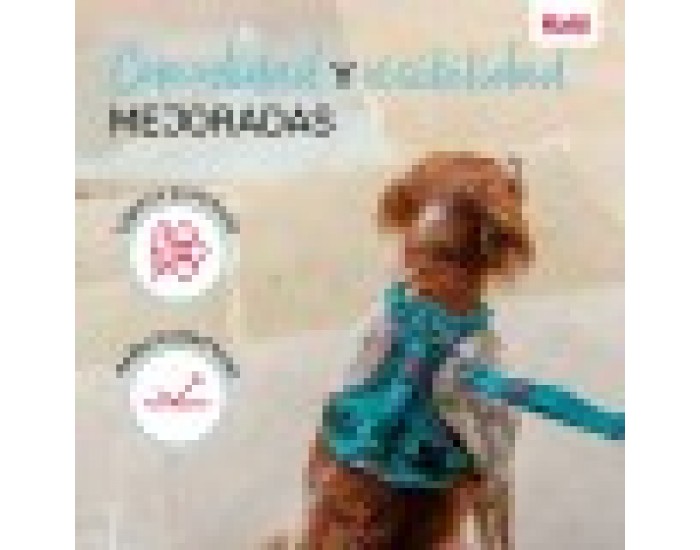 Каишка за Куче Company of Animals цвят тюркоаз L 42-65 cm
