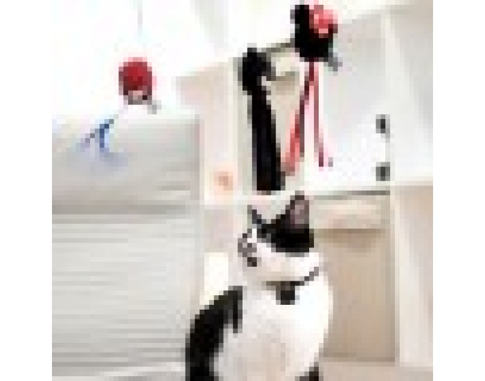 котешка играчка Minnie Mouse Черен