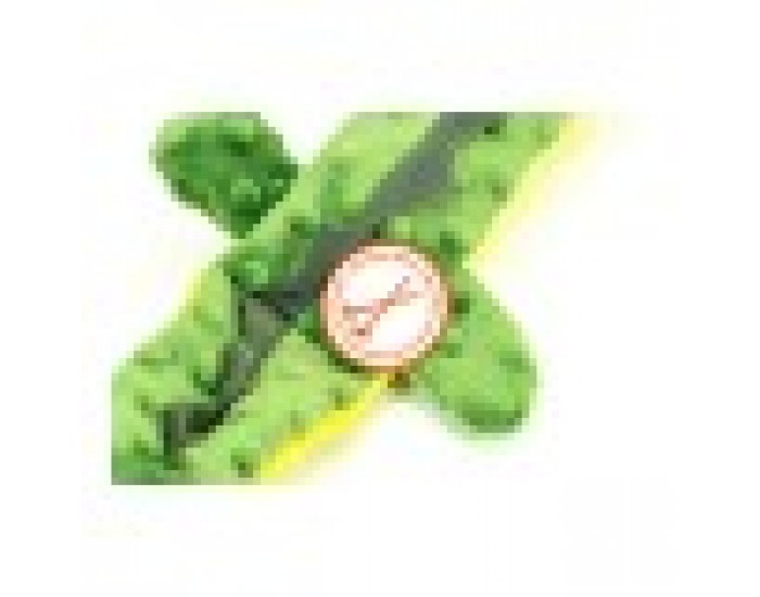 Играчка за Кучета Gloria Dogmonsters, Зелен, Плюш