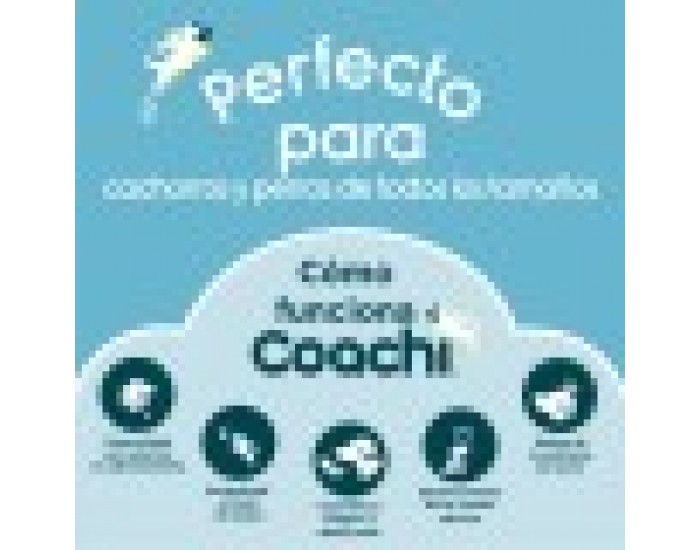 Training toy Coachi Bells Син