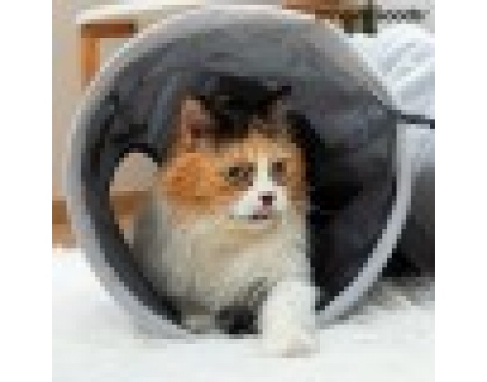 Сгъваем Тунел за котки Funnyl InnovaGoods Сгъваем Тунел за котки Funnyl InnovaGoods