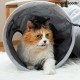 Сгъваем Тунел за котки Funnyl InnovaGoods Сгъваем Тунел за котки Funnyl InnovaGoods
