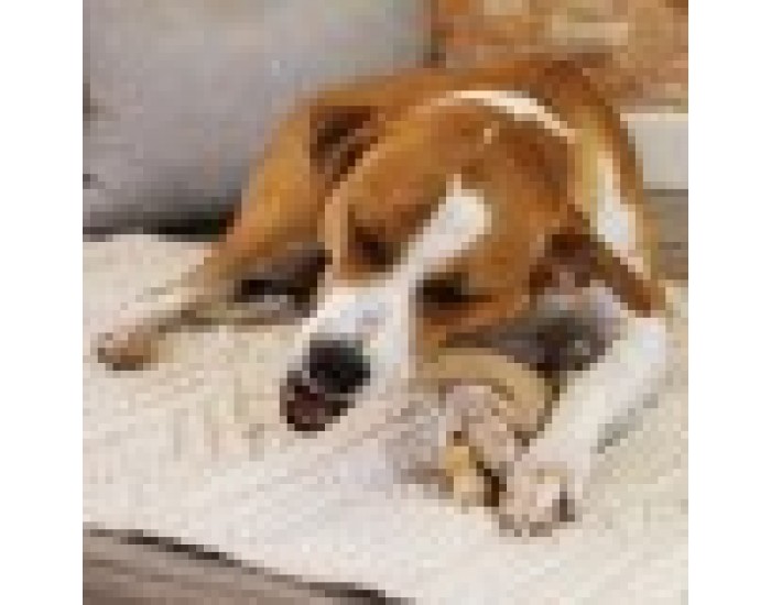 Играчка за Кучета Nylabone Пиле 11 Сметана Животни