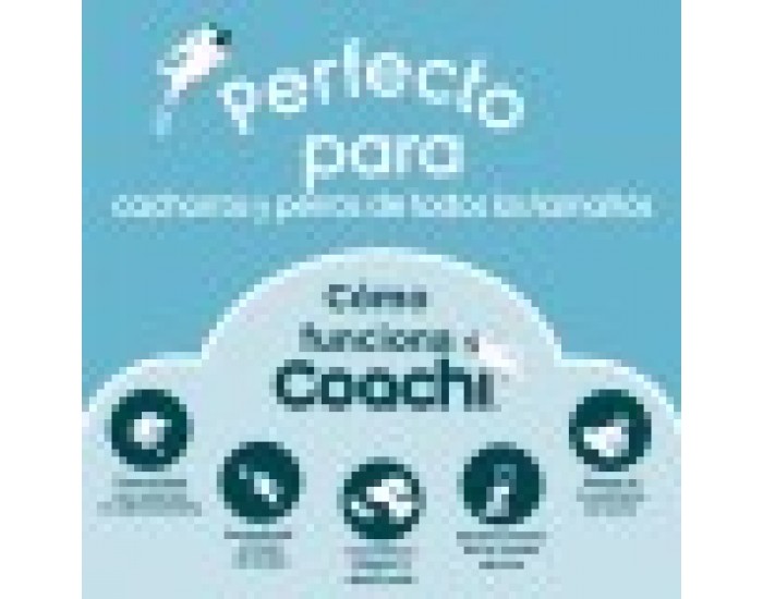 Training toy Coachi