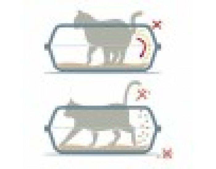 Пясъчник за Котки Georplast Sonic Пластмаса 44,5 x 34 x 18,5 cm (7 броя) Пясъчник за Котки Georplast Sonic Пластмаса 44,5 x 34 x 18,5 cm (7 броя)
