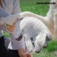 Ръкавица за Сресване InnovaGoods, Масажиране на Домашни Любимци
