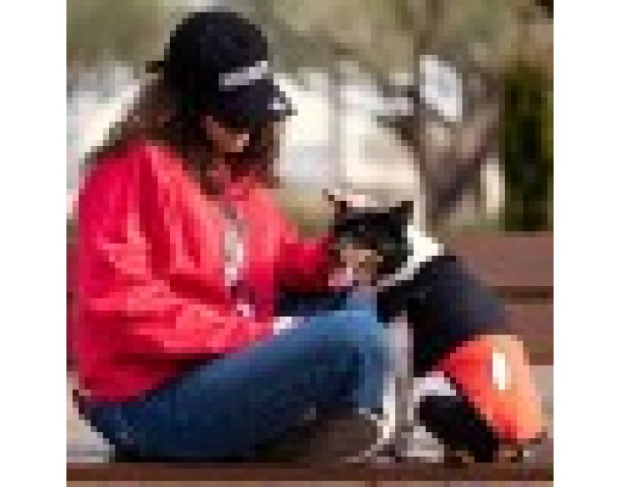 Кучешка Тениска Mickey Mouse - S