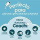 Свирка Coachi