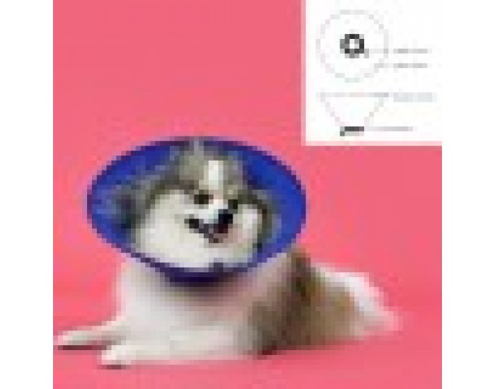 Елизаветинска яка за куче KVP EZ Soft, Син, 30-50 cm