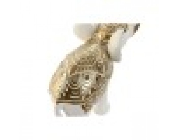 Декоративна фигурка Home ESPRIT Златен Слон 15 x 6 x 14 cm