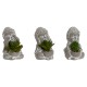 Декоративно Растение Home ESPRIT полиетилен Цимент Буда Ориенталски 8,5 x 7 x 11 cm (3 броя)
