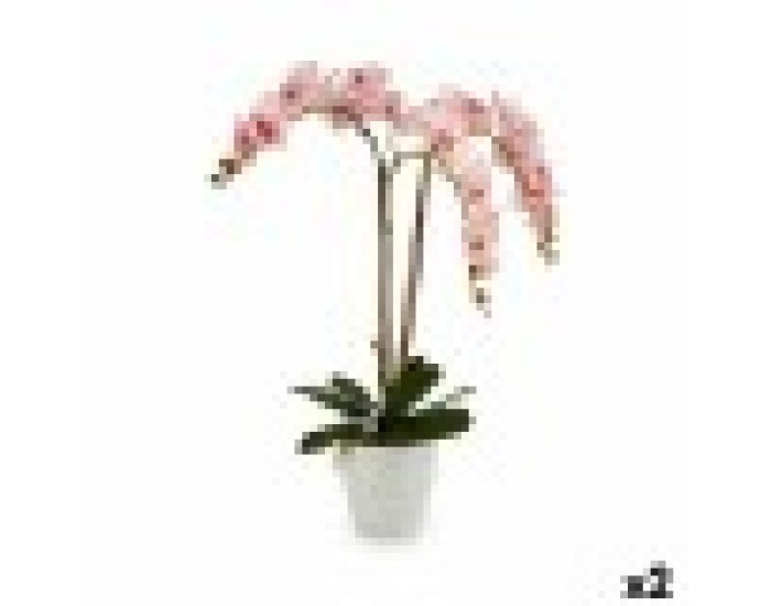 Декоративно Растение Орхидея Пластмаса 40 x 77 x 35 cm (2 броя)