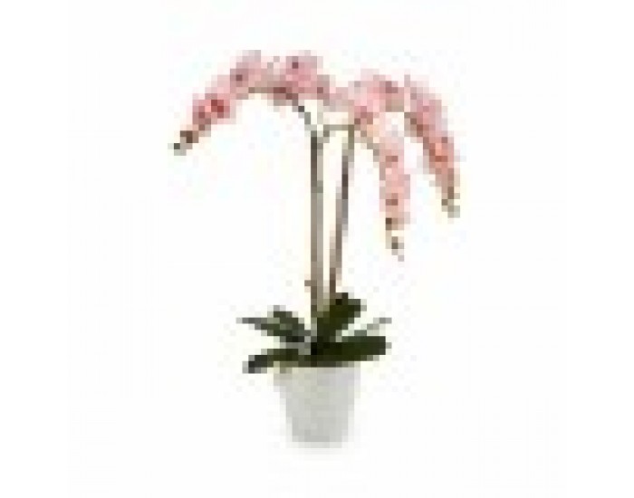 Декоративно Растение Орхидея Пластмаса 40 x 77 x 35 cm (2 броя)