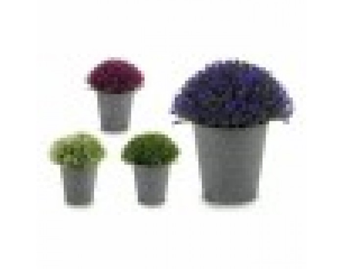 Декоративно Растение Пластмаса (14 x 15 x 14 cm) (12 броя)