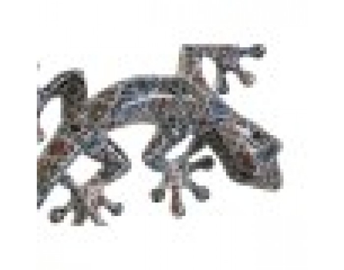 Декорация за стена Home ESPRIT Многоцветен Гущер Средиземноморско 13 x 5 x 29 cm (2 броя)