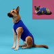 Pet Recovery T-Shirt KVP, 25-29 cm, Текстил