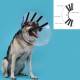 Елизаветинска яка за куче KVP EZ Clear (39-51 cm)