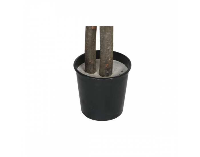 Дърво Home ESPRIT полиестер Дървен 100 x 100 x 185 cm