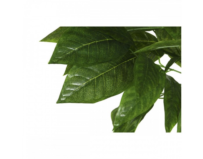 Дърво Home ESPRIT полиестер Дървен 100 x 100 x 185 cm