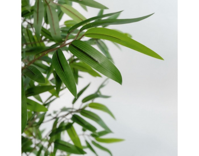 Дърво Home ESPRIT полиестер Бамбук 40 x 40 x 180 cm