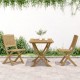 Sonata H Сгъваеми градински столове 2 бр 57x48,5x90 см акация масив