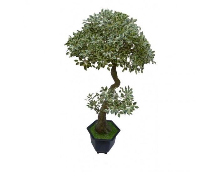 Растения Natural Touch >> ICNT 18752 Растения Natural Touch >> ICNT 18752