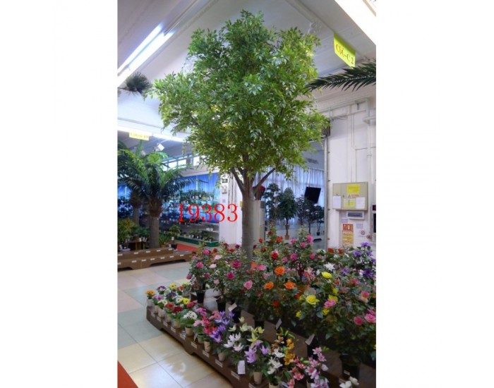 Растения Natural Touch >> ICNT 19383 Растения Natural Touch >> ICNT 19383