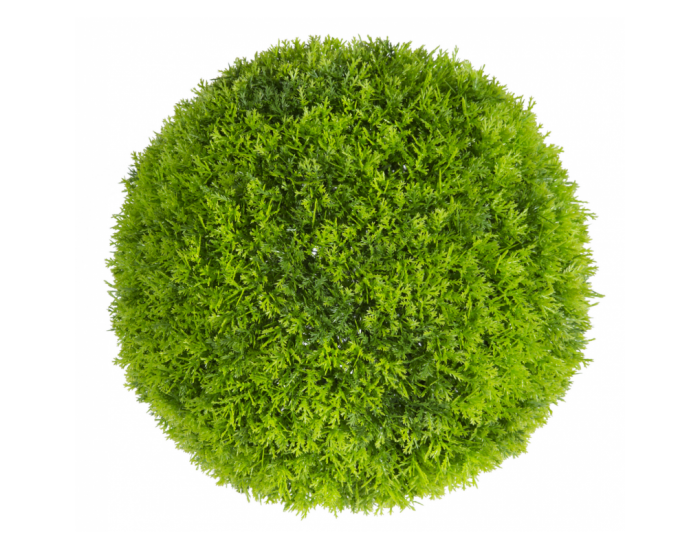 Растения GREEN NATURE>> ICNT 190038