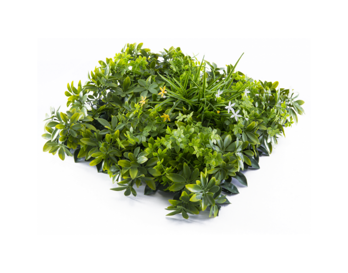 Растения GREEN WALL >> ICNT 135050