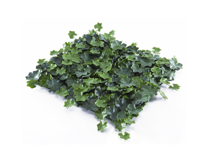 Растения GREEN WALL >> ICNT 155050
