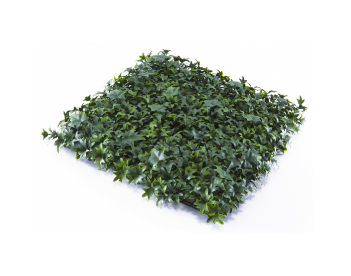 Растения GREEN WALL >> ICNT 165050