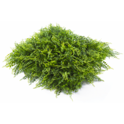 Растения GREEN WALL >> ICNT 175050 - Изкуствени цветя