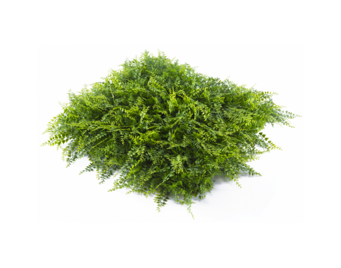 Растения GREEN WALL >> ICNT 175050