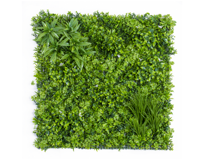 Растения GREEN WALL >> ICNT 19100100
