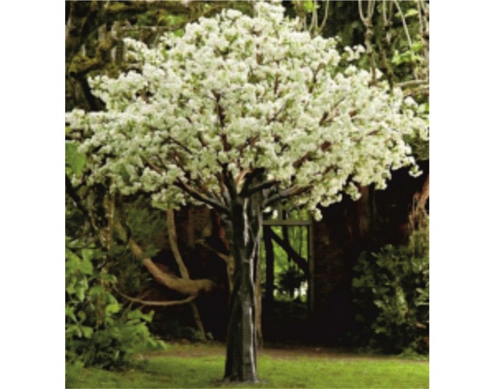 Растения АРТ ДЕКОРАЦИЯ >> ICNT 16002 Растения АРТ ДЕКОРАЦИЯ >> ICNT 16002