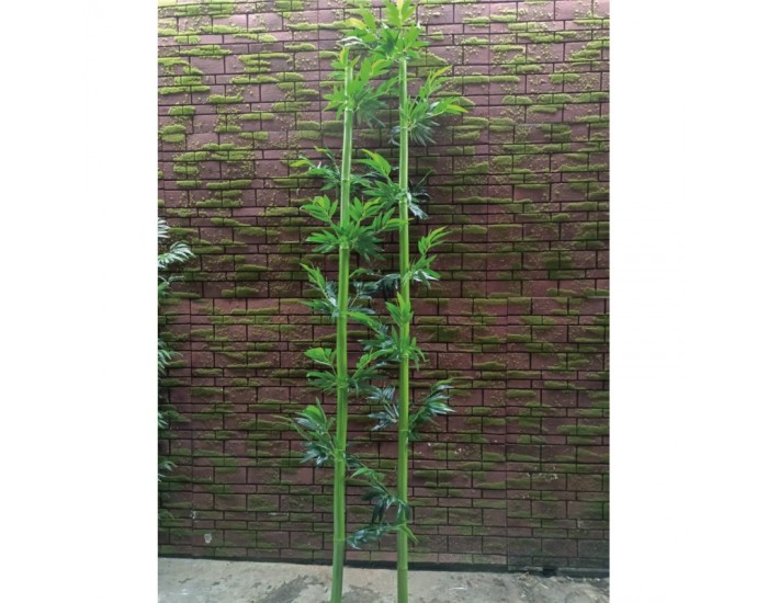 Растения АРТ ДЕКОРАЦИЯ >> ICNT 16008 Растения АРТ ДЕКОРАЦИЯ >> ICNT 16008