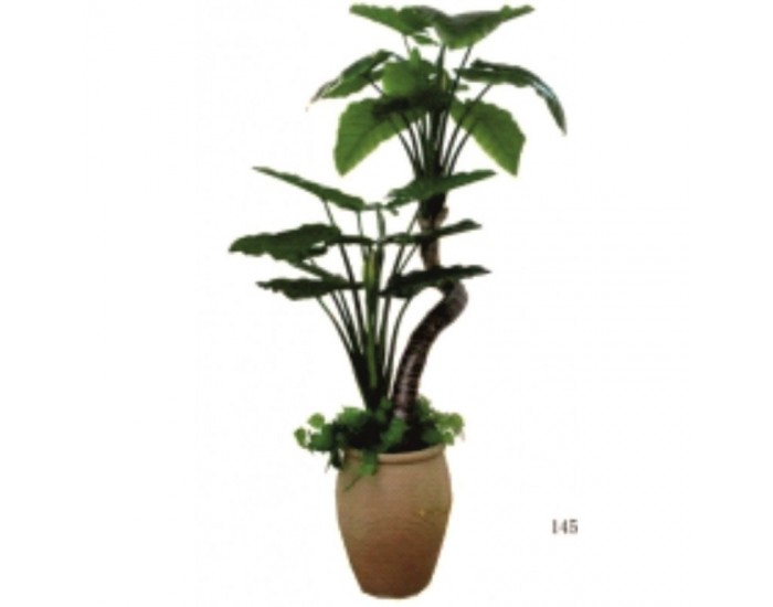Растения АРТ ДЕКОРАЦИЯ >> ICNT 16010