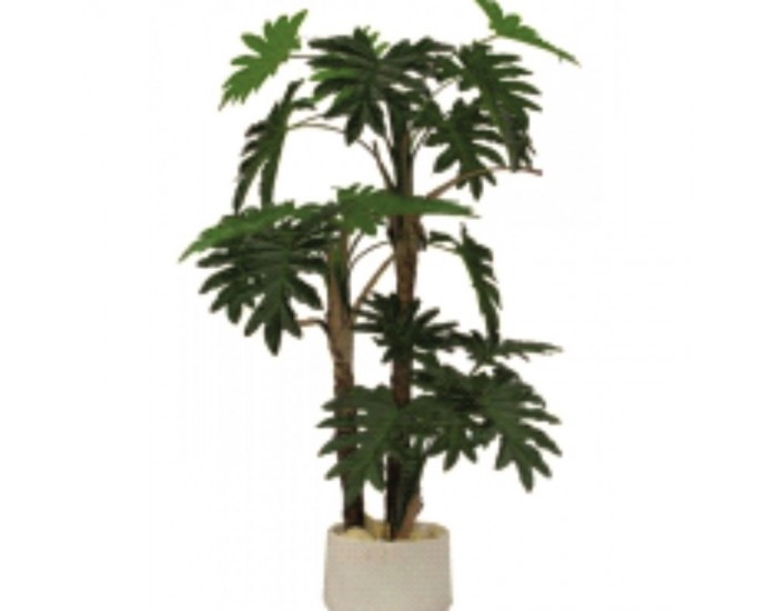 Растения АРТ ДЕКОРАЦИЯ >> ICNT 16012 Растения АРТ ДЕКОРАЦИЯ >> ICNT 16012