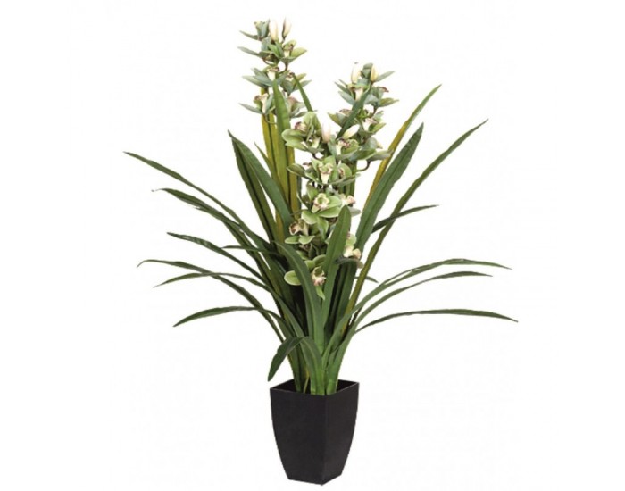 Растения АРТ ДЕКОРАЦИЯ >> ICNT 16018 Растения АРТ ДЕКОРАЦИЯ >> ICNT 16018